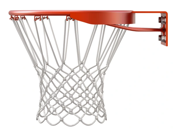 Basketball Net