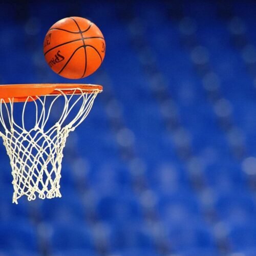 Basketball Net